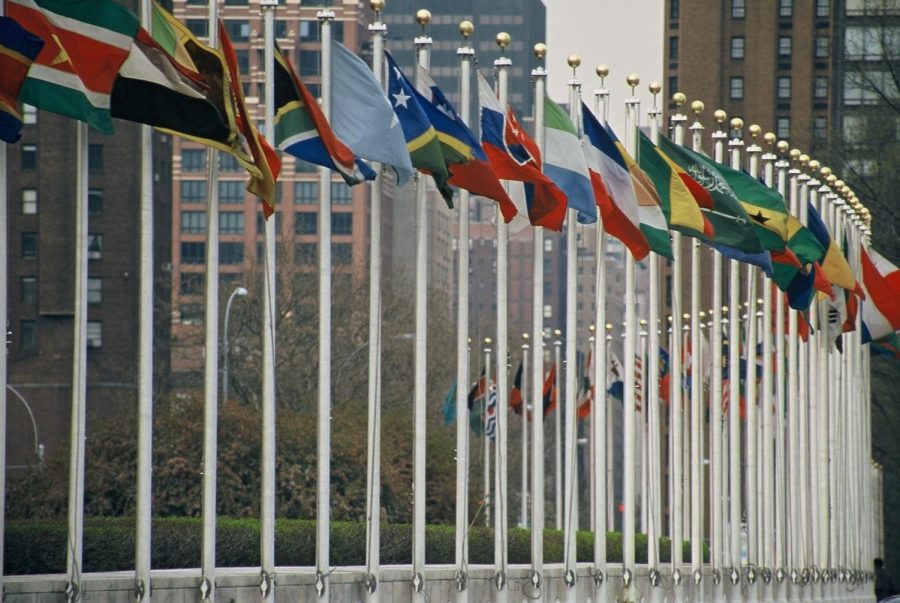 Photo from commons.wikimedia.org, flags of the world in front of the NYC United Nations building