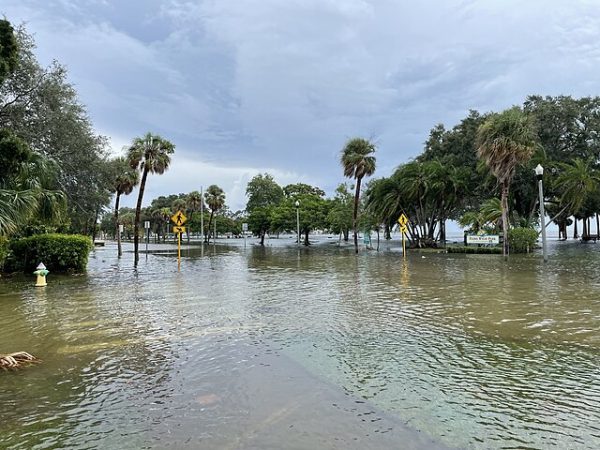 Streets in St. Petersburg, Florida left flooded by Hurricane Idalia.