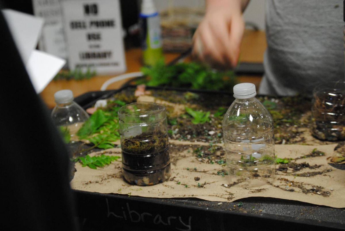 Working to make their own miniature plant pots in the library, students celebrate the planet.