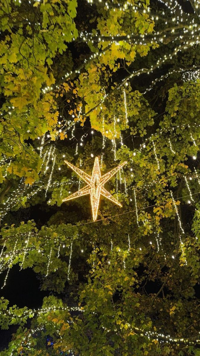 A shining star hanging from a tree at the zoo.