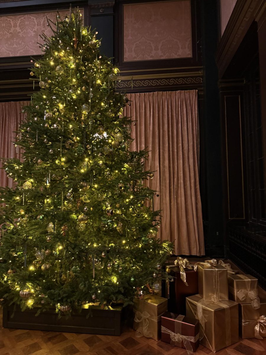 A traditional, authentic Christmas tree is on display at Longwood Gardens.